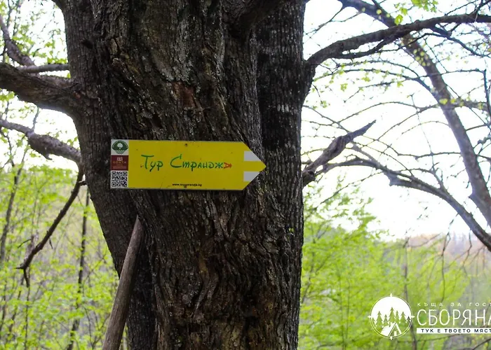 комплекс сборяна Pensión